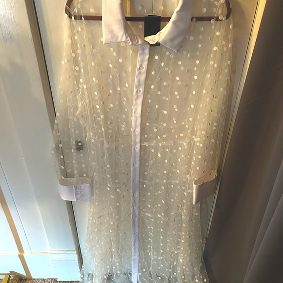 Eloquii Polka Dot Sheer Dress - Picture 3 of 5